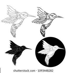 Beautiful Line art Humming bird with flower isolate on white background.