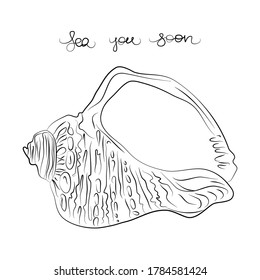 Beautiful line art style seashell with hand written text sea you soon vector 