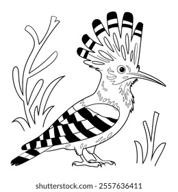 Beautiful line drawing bird, coloring page