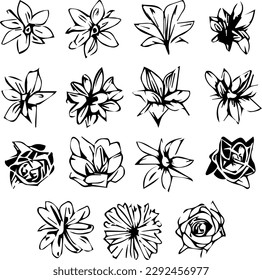 Beautiful line drawings of flowers created by hand