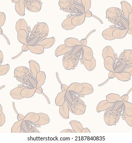 Beautiful line seamless floral pattern with apple flowers over white. Nature botanical  background illustration. 