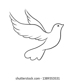 Beautiful line sketch dove bird vector illustration