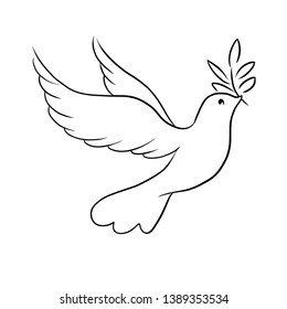 Beautiful line sketch dove bird vector illustration