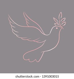 Beautiful line sketch dove bird vector illustration