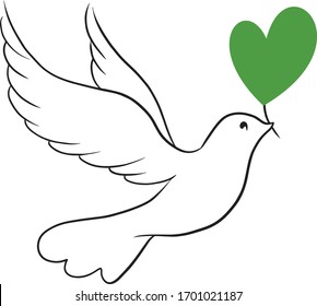 Beautiful line sketch dove bird vector illustration