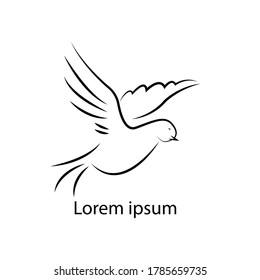 Beautiful line sketch dove bird vector illustration. Outline illustration of dove vector icon for web.