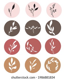 Hermosas plantas lineales con hojas largas, redondeadas, puntiagudas, ovaladas. Una gran opción para un logotipo. Objeto aislado del fondo.Gráficos vectoriales 