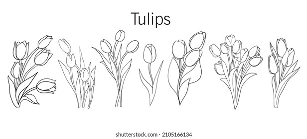Schöne lineare Tulpen sind eine großartige Option für ein Logo, Druck. Satz botanischer Blumen. Vektorgrafik 