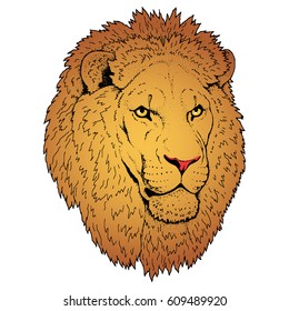 Beautiful lion artwork. Detailed. African predator.