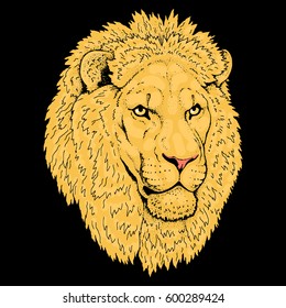 Beautiful lion artwork. Detailed.African predator.