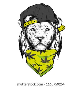 A beautiful lion in a cap and scarf. Vector illustration for a postcard or a poster, print for clothes. Wild animal.
