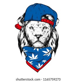 A beautiful lion in a cap and scarf. Vector illustration for a postcard or a poster, print for clothes. Wild animal.
