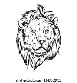 Tiger Vector Illustration Stock Vector (royalty Free) 355837835