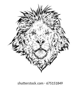 A beautiful lion. Vector illustration for a postcard or a poster, print for clothes.