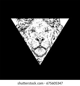 A beautiful lion. Vector illustration for a postcard or a poster, print for clothes.