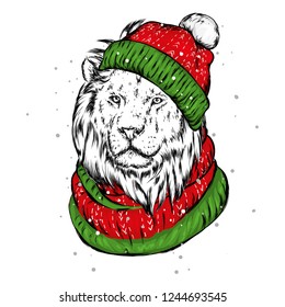 Beautiful lion in a winter hat and scarf. New Year and Christmas, Santa Claus. Vector illustration for postcard or poster, print for clothing and accessories.