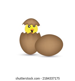 beautiful little chicken, egg and eggshell isolated on the white