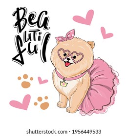 Beautiful little spitz dog girl and the inscription beautiful. Vector cartoon illustration for kids t-shirt design. Birthday card