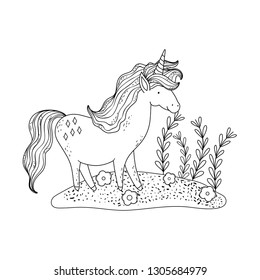 beautiful little unicorn in the landscape