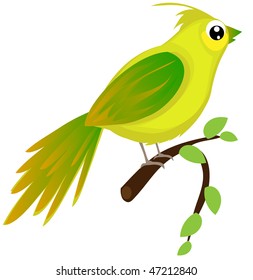 beautiful little vector bird