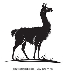 Beautiful Llama silhouette vector art illustration on white background