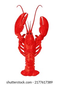 Beautiful lobster vector illustration background isolated on white background.