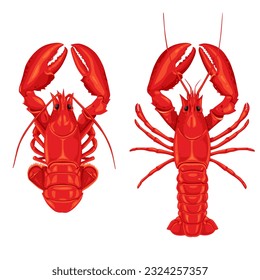 Beautiful lobster vector illustration background isolated on white background.	
