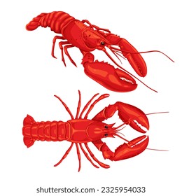 Beautiful lobster vector illustration background isolated on white background.