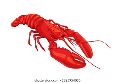 Beautiful lobster vector illustration background isolated on white background.