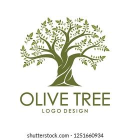 Beautiful logo olive tree on white background. Modern vector sign. Premium quality illustration logo design concept