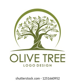 Beautiful logo olive tree on white background. Modern vector sign. Premium quality illustration logo design concept