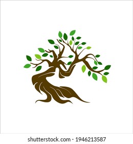 Beautiful logo olive tree on white background. Modern vector sign.