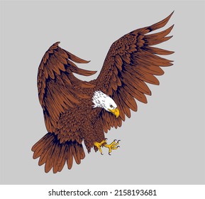 beautiful logo template with flying 
 eagle 