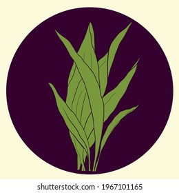 Beautiful long leaves are a beautiful element for a logo, print, printing on paper on fabric. An excellent version of the picture for the interior. Vector graphics 