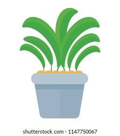 
Beautiful long and thin leaves coming out from pot depicting aspidistra elatior 
