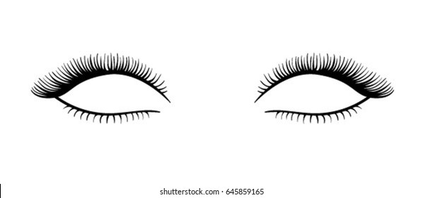 Beautiful long vector black eyelashes illustration isolated on white background