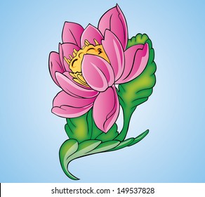 Beautiful lotus 