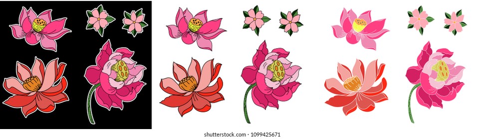 Beautiful lotus and cherry flower set isolate on white background.sticker lotus flower and sakura for printing.
