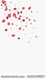 Beautiful Lotus Falling Vector Transparent Background. Spring Peach Frame. Red Blossom Tender Wallpaper. Delicate Flower Summer Banner.