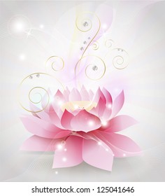 Beautiful lotus flower