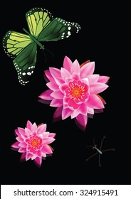 Beautiful lotus flower with butterflies vector art eps10