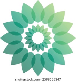 Beautiful Lotus Flower Color Wheel.  Modern Abstract background template with colorful soft flower shapes and wave gradient elements for business and beauty with beautiful overlap effect.