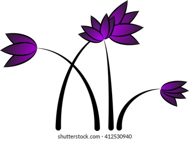 Beautiful Lotus Flower Color Wheel