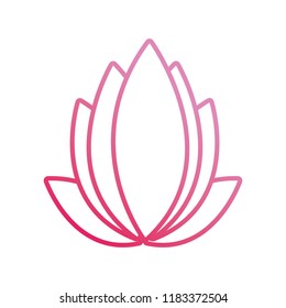 beautiful lotus flower decoration ornament