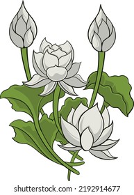 beautiful lotus flower design for template creation elements or other industrial needs