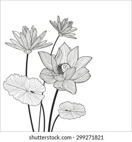 Beautiful lotus flower line illustration. Vector abstract black and white floral background with place for text.