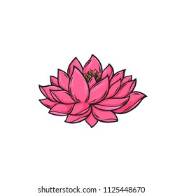 Beautiful lotus flower, realistic vector sketch, vector illustration isolated on white background