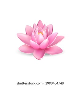 Beautiful lotus flower. Vector illustration 