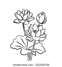 Beautiful lotus flowers black white isolated sketch. The black line drawn on a white background. Vector illustration