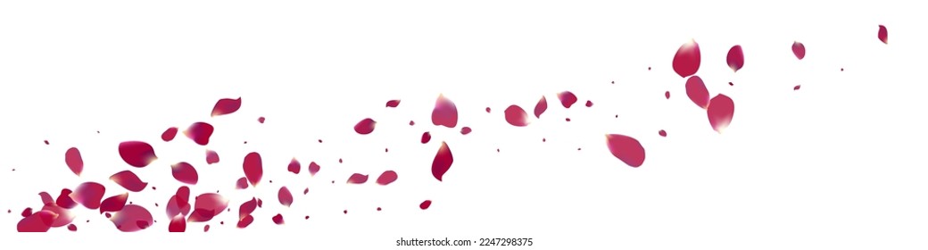 Beautiful Lotus Flying Vector White Panoramic Background. Falling Blossom Design. Delicate Floral Japan Illustration. Pink Flower Spring Poster.